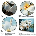 thumbnail image 3 of Designart "Detailed Artistry Showcasing White Plumeria Blossoms" Plumeria Floater Framed Wall Decor, 3 of 5