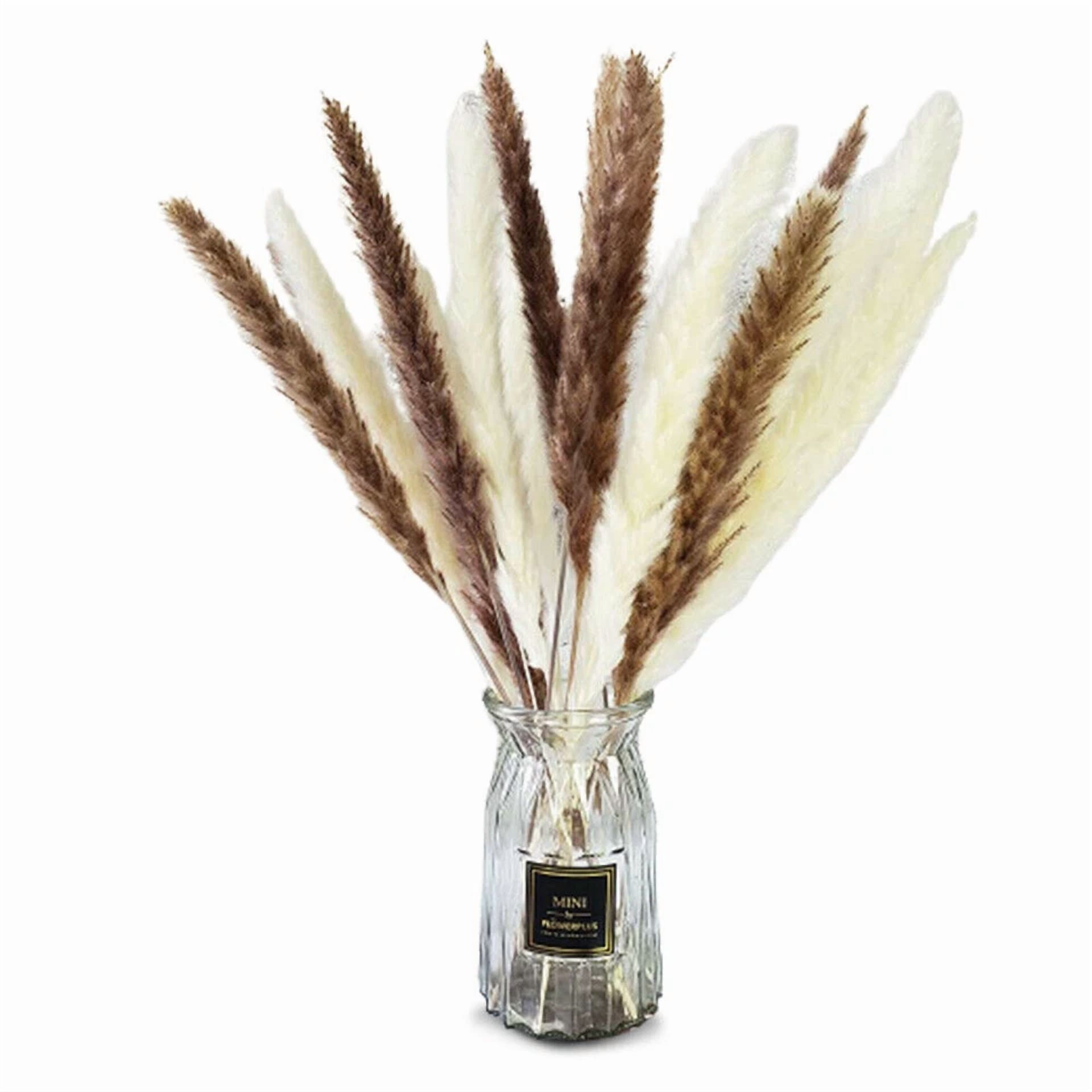CIRCLE- 60Pcs Natural Dried Pampas Grass Reed Flower Bunch Bouquets Home Wedding Decor