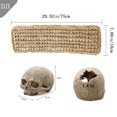 thumbnail image 3 of Accesorios para Terrario PINVNBY Dragón Barbudo con Calavera Humana de Resina, 3 of 7