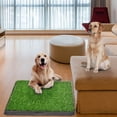 thumbnail image 5 of Truepal Artificial Grass Dog Pee Pad Potty - Artificial Grass Patch for Dogs - Pet Litter Box, 5 of 11