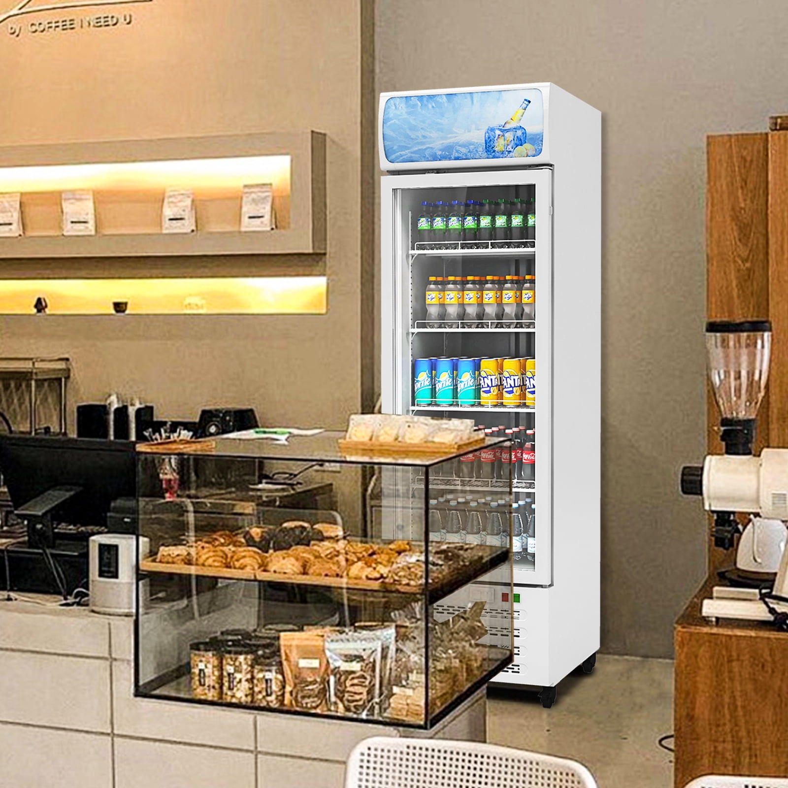 Commercial Beverage Refrigerator, 22 Inch 11.3 Cu. Ft. Drink Fridge, Display Refrigerator with Glass Door, Commercial Display Fridge with 4 Adjustable Shelves, for Shops, Restaurants, Bars