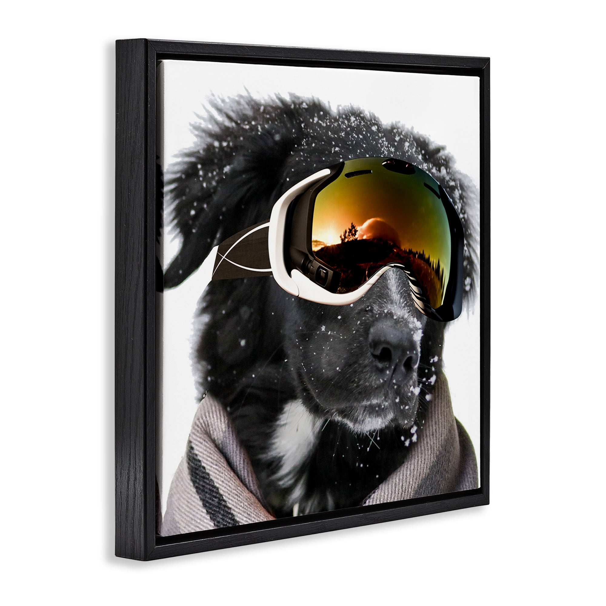 Stupell Industries Snowboarder Dog with Goggles Animals & Insects Painting Black Floater Framed Canvas Art Print Wall Art, 18 x 18