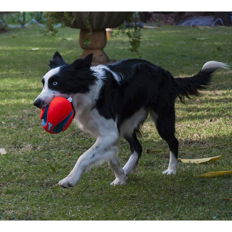 Chuckit fumble fetch 2025