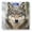 Color3287, variant on Bathroom Scale, Highly Accurate Digital Body Scale,Precisely Measures Weight up to 400 lbs-The Wolf Has Snow On Its Head And Face