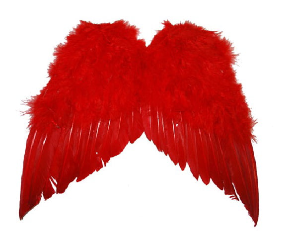 Adult Cupid Angel Devil Wings Feathers Red 13