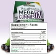 thumbnail image 5 of Nature’s Answer Sambucus Mega Gummies 7X Concentrated, Black Elderberry Gummies, 30 Count, 5 of 6