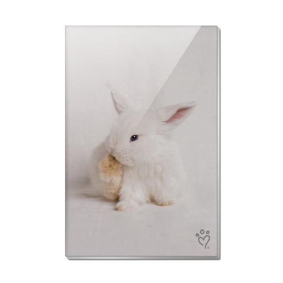Lop Ears Miniature Bunny Rabbit Rectangle Acrylic Fridge Refrigerator Magnet