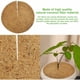 thumbnail image 3 of 5 discos de fibra de coco para mantillo de 30 cm, duraderos, para plantas, estera de fibra de coco, disco de protección de plantas, fácil corte para protección de plantas, jardín, balcón, maceta, 3 of 5