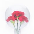 thumbnail image 3 of TEHAUX Bola Acrílica Transparente Para Envolver Ramo De Flores Accesorio Floral Práctico, 3 of 8