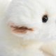 thumbnail image 5 of Peluche HollyHome para perro maltés, 38 cm, color blanco, 5 of 6