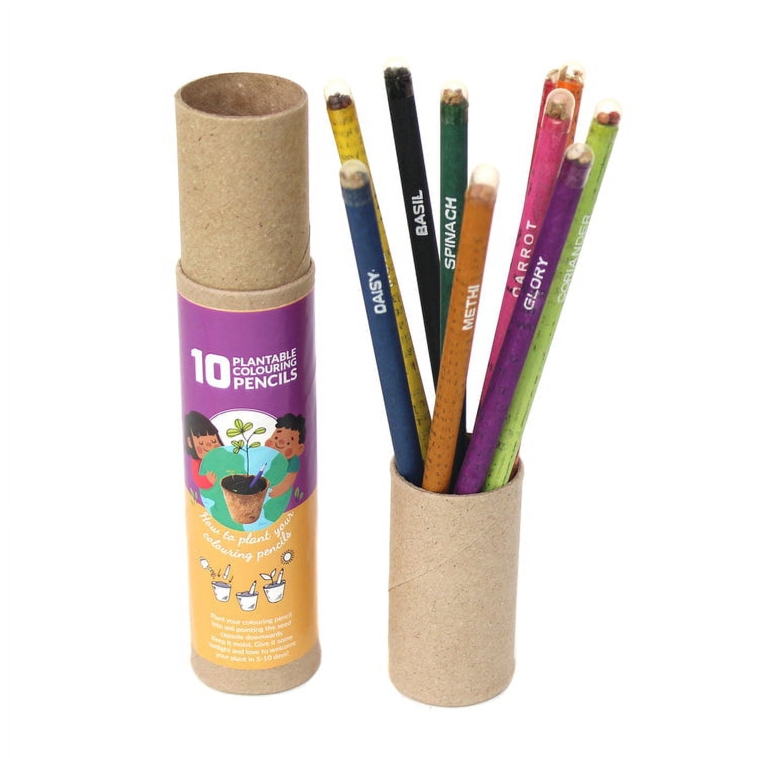 Ecofriendly Color Pencils (set of 10), Seed Color Pencils ,Plastic free color pens , Non toxic Color Pens , Chemical Free Color Pencils