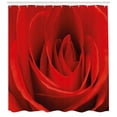 thumbnail image 3 of Ambesonne Rose Shower Curtain, Natural Beauty Red Blossom, 69"Wx75"L, Vermilion, 3 of 3