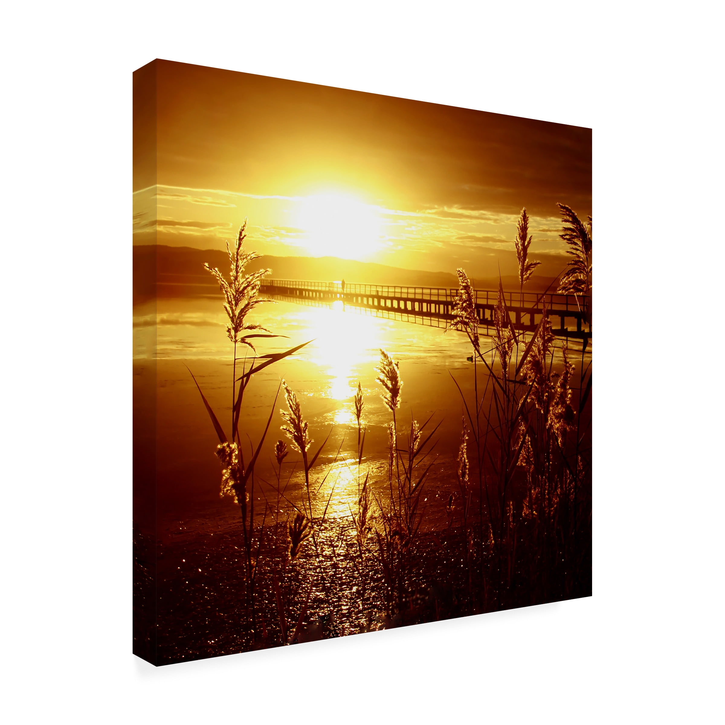 Trademark Fine Art "My Date with the Sun" Canvas Art by Beata Czyzowska Young