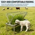 thumbnail image 2 of Pasture Feeder, Extra Wide Feed Pan, 2-IN-1 Design, Livestock Feeder, Heavy Duty Galvanized Steel Hay Feeder, All Weather Feeder with Durability for Sheep Farms Sheds, 2 of 8