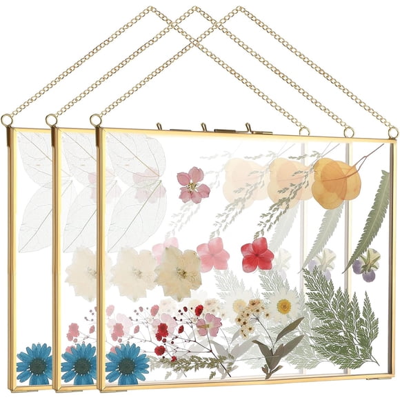 3 Pcs Double Glass Frame for Pressed Flower 8 x 10 Inch Floating Picture Frame Brass Hanging Photo Artwork Display with Chain Wall Decor for Wedding Gallery Pictures DIY Decor