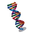 thumbnail image 4 of MasteelfCA DIY DNA Double Helix Model Biological Science Experiment Tool Human Genes Learning Tool for School Office, 4 of 7