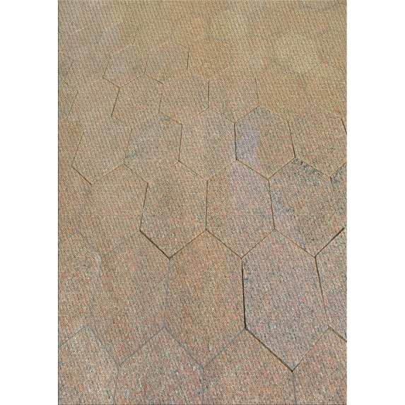 Ahgly Company Machine Washable Indoor Rectangle Transitional Brown Area Rugs, 5' x 7'