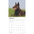 thumbnail image 3 of Australian Kelpies | 2025 12x24" (Hanging) Square Wall Calendar | BrownTrout, 3 of 9