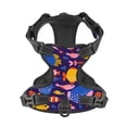 thumbnail image 4 of Lsque Cute Flat Hand Drawn Fishes Dog Harness, No-Pull Pet Harness with 2 Leash Clips, Adjustable Soft Padded Dog Vest with Easy Control Handle for Large Dogs-Small, 4 of 9