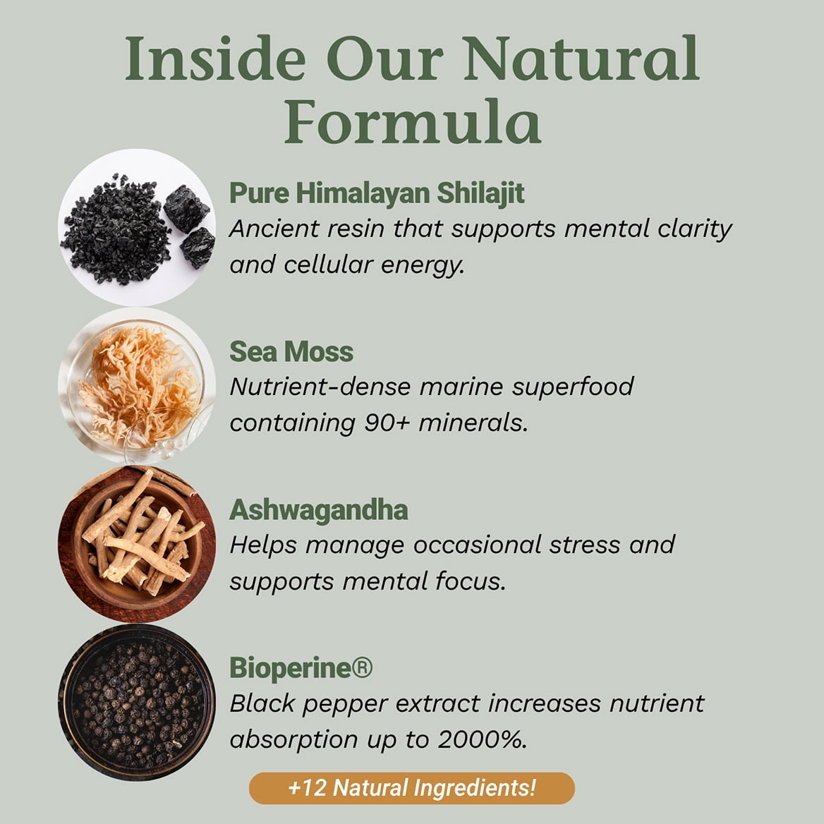 Native Remedies Sea Moss & Shilajit Complex  - Natural Energy & Immune Blend with Irish Sea Moss Himalayan Shilajit Ashwagandha & Vitamin D3 - Daily Multimineral for Men & Women - 90 Capsules