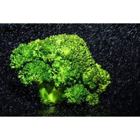 LAMINATED POSTER Vegetables Steamed Blanched Broccoli Kohl Poster Print 24 x (Best Way To Steam Broccoli)