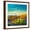 Brown Frame, variant on Art.com Picturesque, Serene Sunset in Saguaro National Park - Sonoran Desert - American Southwest. Stretched Canvas Print Wall Art by Katrina Leigh, 16" x 16"