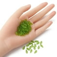 thumbnail image 4 of Transparent Acrylic Charms Leaf Charm Lawn Green 10.5x5x3.5mm Hole: 1.4mm, 4 of 5