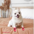 thumbnail image 2 of Dog Shoes Dog Boots & Paw Protector, Anti-Slip Sole Winter Dog Booties with Reflective Straps Dog Snow Boots for Small Medium Dogs 4PCS, 2 of 7