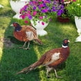 thumbnail image 5 of 1/2Pc Pheasant Garden Decorations Pheasants Stake Lawn Courtyard Statue Sculptures Acrylic Stakes Outdoor Art Ground Plug Decor, 5 of 9