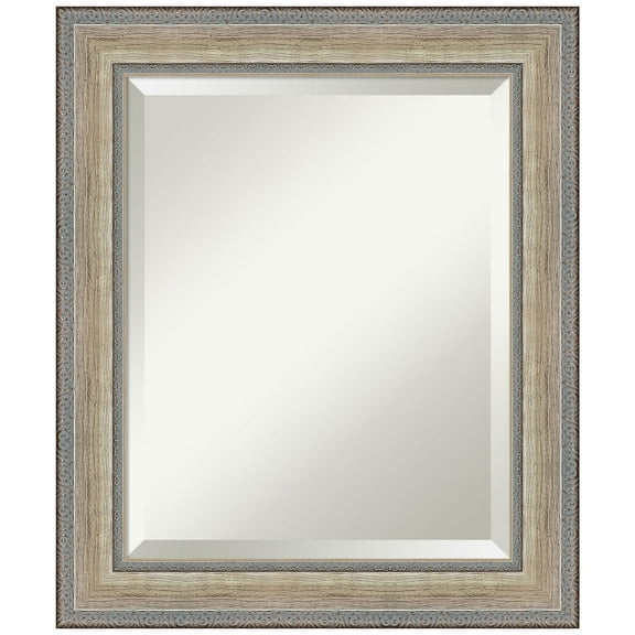 Amanti Art Fleur Silver Beveled Wood Wall Mirror 25.25 x 21.25 in.