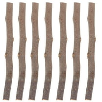 PAMINGONO 10pcs Natural Wooden Craft Sticks Mini Branches for Projects Home Decor Accessories