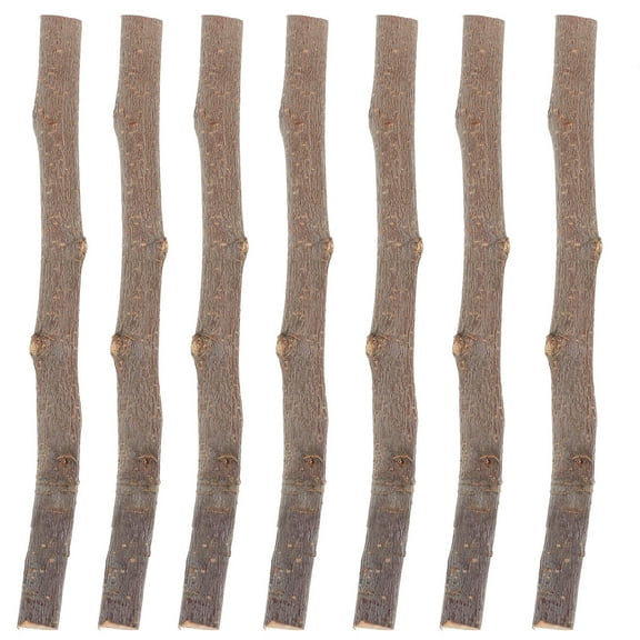 PAMINGONO 10pcs Natural Wooden Craft Sticks Mini Branches for Projects Home Decor Accessories