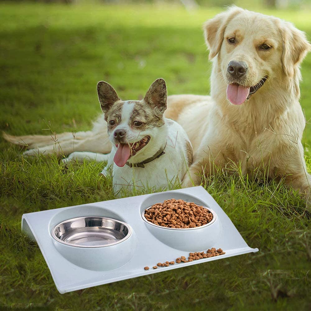 Stainless Steel Double Cat Bowl, Small Dog Bowl, Double Pet Bowl, Cat Double Bowl, Cat And Dog Bowl -Blue - image 5 of 5