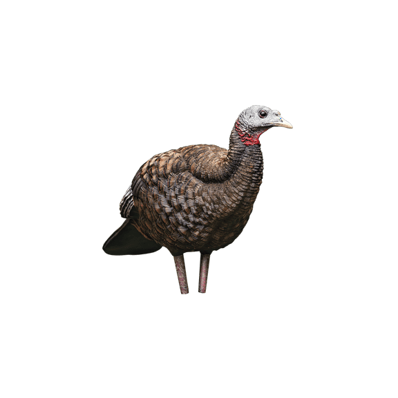 Avian-X LCD Breeder Hen Turkey Decoy, AVX8008