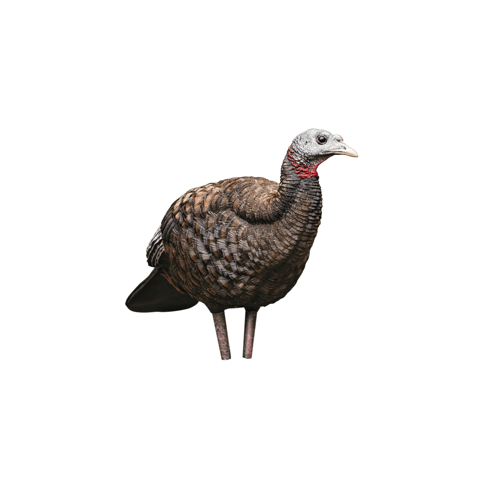 AvianX LCD Breeder Hen Turkey Decoy, AVX8008
