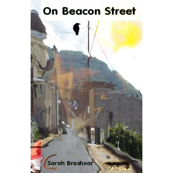 On Beacon Street (Paperback)
