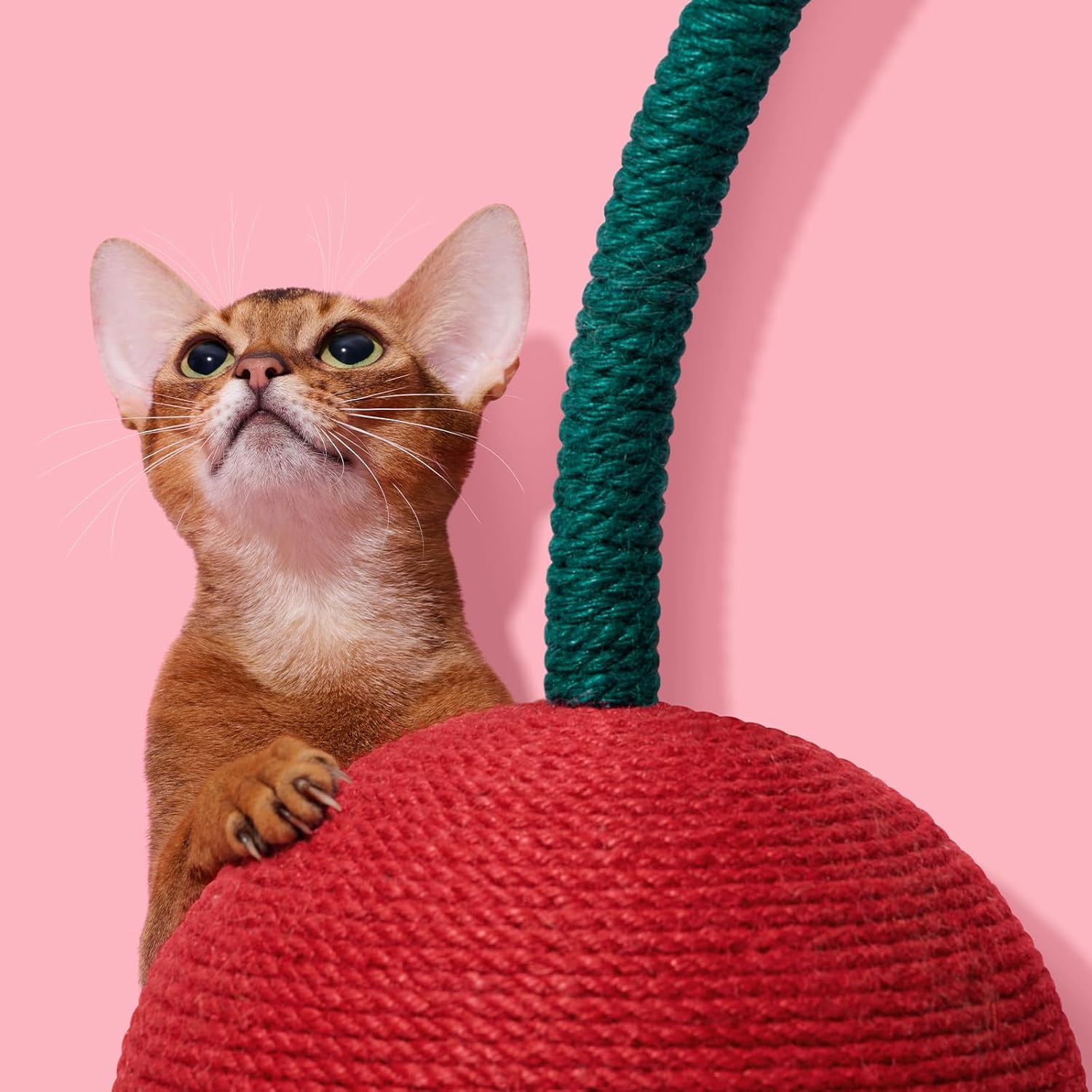 Cat Scratching Post with Jute Rope and Ball, Vertical Scratcher for Indoor Cats and Kittens