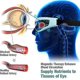 thumbnail image 3 of Dispositivo para mejorar la visión Ophthalpro, alivia la fatiga ocular, reduce la fatiga y promueve la relajación (modelo recargable), 3 of 5