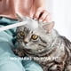 thumbnail image 2 of Labymos Gato Peine Mascota Depilación Masajeador Cat, 2 of 8