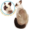 thumbnail image 3 of Stefan The Siamese Cat - 14 Inch Stuffed Animal Plush - by Tiger Tale Toys, 3 of 5