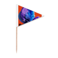thumbnail image 1 of Twin Flames Surround Holi Day Toothpick Triangle Cupcake Toppers Flag, 1 of 3