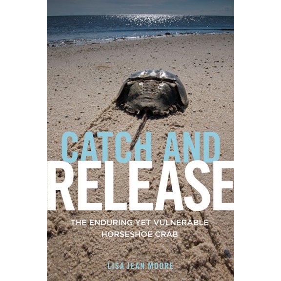 Catch and Release: The Enduring Yet Vulnerable Horseshoe Crab, (Paperback)