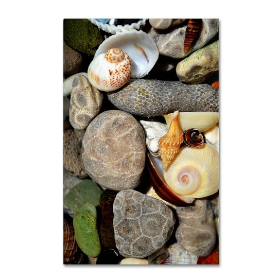 Trademark Fine Art "PetoskeyStones ll" Canvas Art by Michelle Calkins