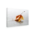 thumbnail image 2 of Ben Heine 'Crisp' Canvas Art, 2 of 3