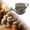 A, variant on Mini Metal Watering Can Decorative Rustic Garden Water Pot with Linen Bow for Indoor Outdoor and Home Decor