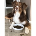 thumbnail image 5 of Waggo Dipper Cuenco De Cerámica Para Perros De Razas Pequeñas Y Grandes, Pesado Y Duradero, Plato De Agua Y Comida Para Mascotas, Apto Para Lavavajillas, Moderno (Gris Vintage Grande), 5 of 5