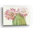 thumbnail image 1 of Epic Art 'Desert Blossoms II' by Tim O'Toole, Acrylic Glass Wall Art, 24"x16", 1 of 3