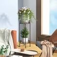 thumbnail image 4 of Auledio Plant Stand Rack 2 Tier Indoor Outdoor Multiple Holder Shelf,Bronze, 4 of 6