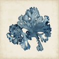 thumbnail image 2 of McCavitt, Naomi 20x20 White Modern Wood Framed Museum Art Print Titled - Seaweed Specimens IX, 2 of 4