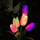 thumbnail image 3 of WORGEOUS Lámpara solar de césped Lámpara de tulipán de tulipán de jardín Luz de paisaje Adorno de luz al aire libre, 3 of 8